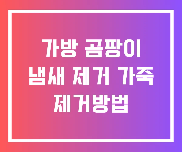 가방 곰팡이 냄새 제거 가죽 제거방법 가방 곰팡이 냄새 제거 가죽 제거방법