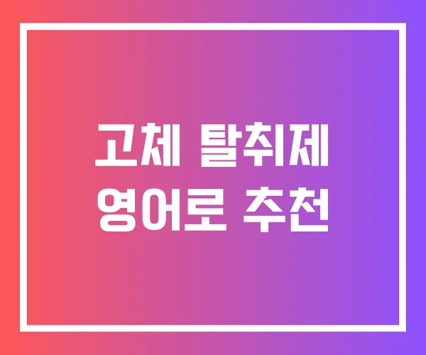 고체 탈취제 영어로 추천
