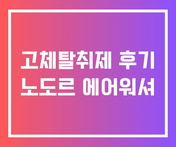 고체탈취제 후기 노도르 에어워셔 고체탈취제 후기 노도르 에어워셔