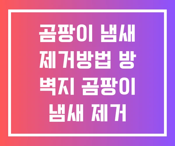 곰팡이 냄새 제거방법 방 벽지 곰팡이 냄새 제거