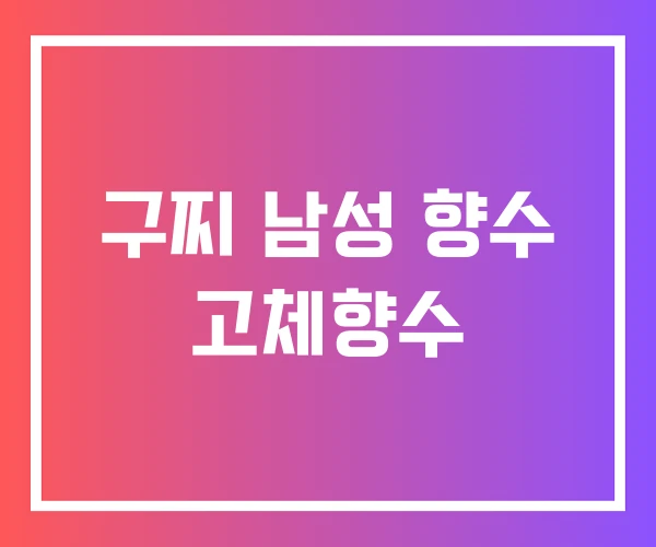 구찌 남성 향수 고체향수