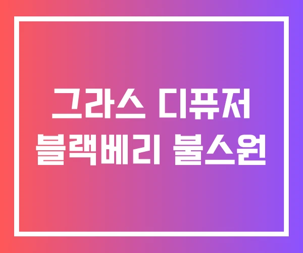그라스 디퓨저 블랙베리 불스원
