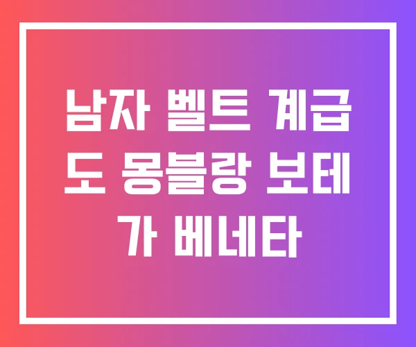남자 벨트 계급 도 몽블랑 보테 가 베네타
