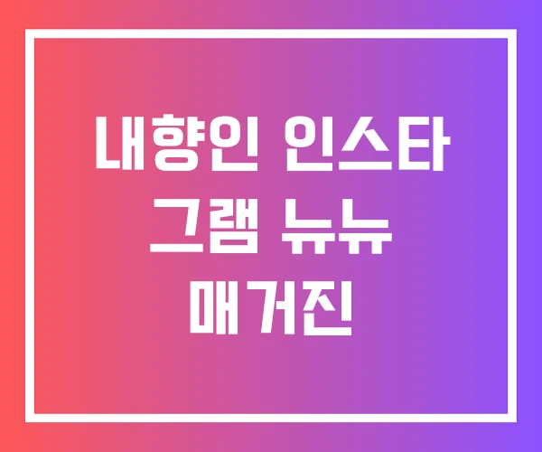 내향인 인스타 그램 뉴뉴 매거진