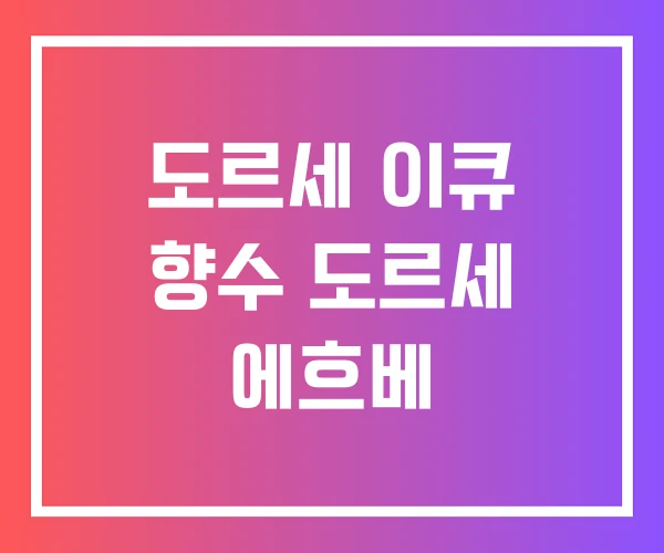 도르세 이큐 향수 도르세 에흐베