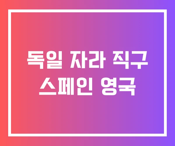 독일 자라 직구 스페인 영국