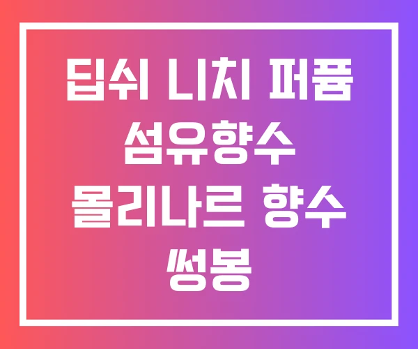 딥쉬 니치 퍼퓸 섬유향수 몰리나르 향수 썽봉