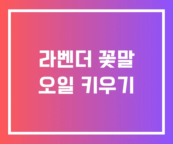 라벤더 꽃말 오일 키우기