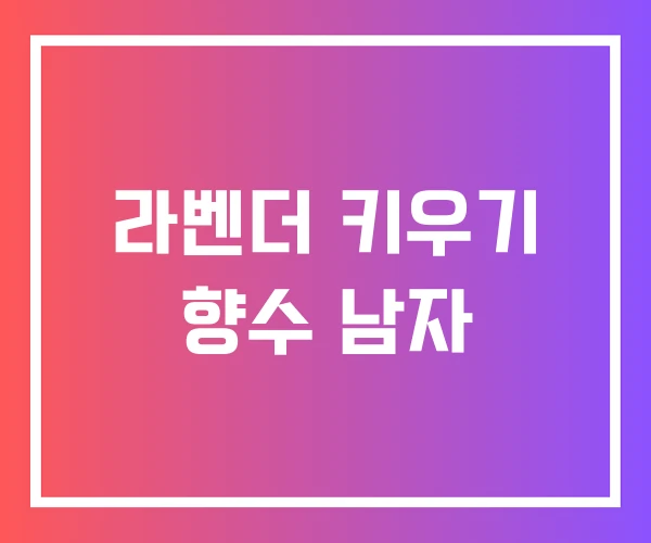 라벤더 키우기 향수 남자