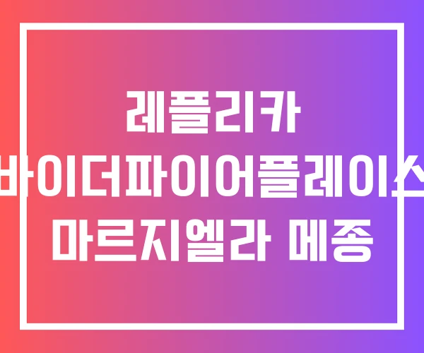 레플리카 바이더파이어플레이스 마르지엘라 메종