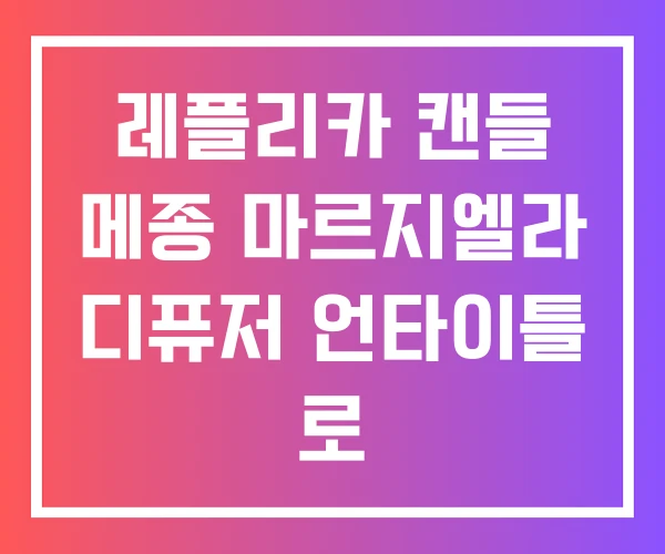 레플리카 캔들 메종 마르지엘라 디퓨저 언타이틀 로