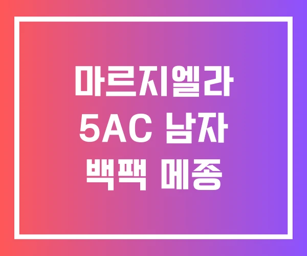 마르지엘라 5AC 남자 백팩 메종 마르지엘라 5AC 남자 백팩 메종