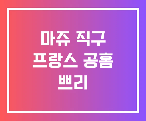 마쥬 직구 프랑스 공홈 쁘리