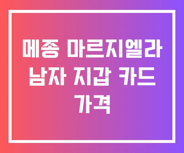 메종 마르지엘라 남자 지갑 카드 가격