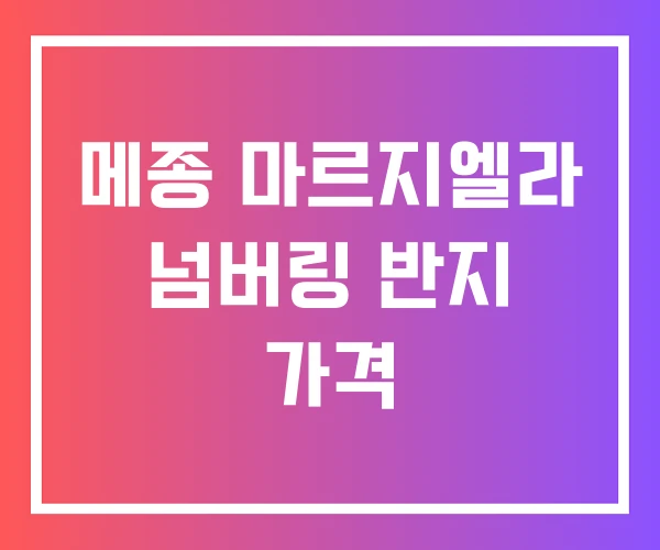 메종 마르지엘라 넘버링 반지 가격