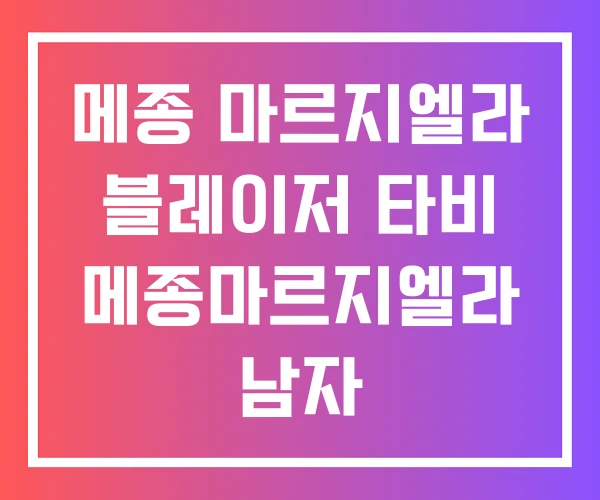 메종 마르지엘라 블레이저 타비 메종마르지엘라 남자