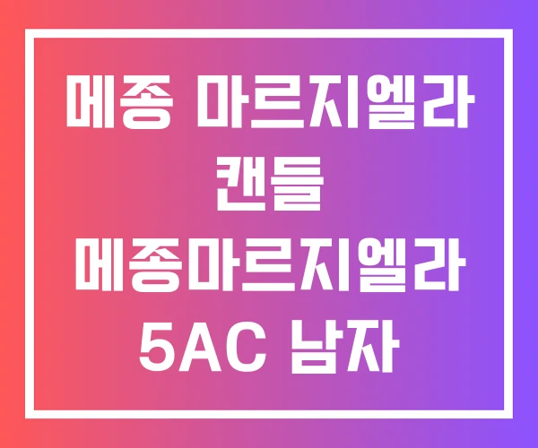 메종 마르지엘라 캔들 메종마르지엘라 5AC 남자