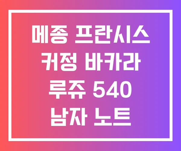 메종 프란시스 커정 바카라 루쥬 540 남자 노트