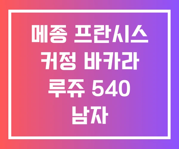 메종 프란시스 커정 바카라 루쥬 540 남자