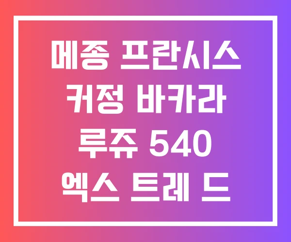 메종 프란시스 커정 바카라 루쥬 540 엑스 트레 드 퍼퓸 남자 노트