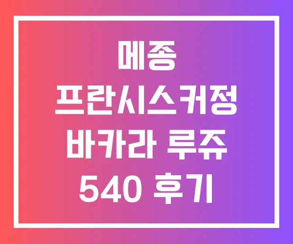 메종 프란시스커정 바카라 루쥬 540 후기 면세 메종프란시스커정 엑스 트레