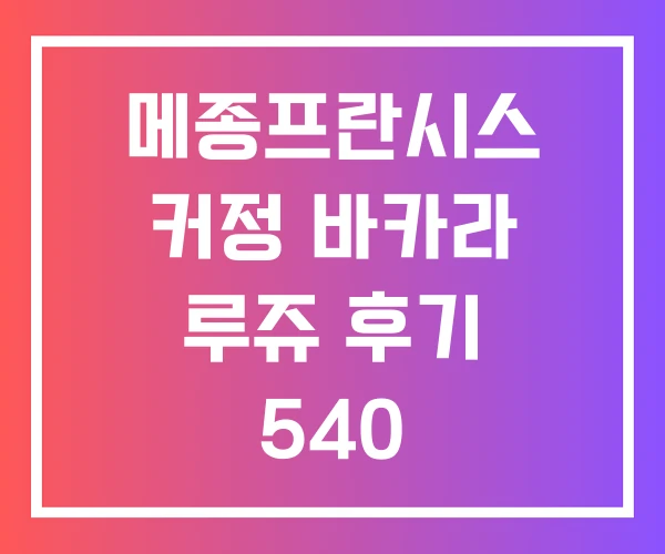 메종프란시스 커정 바카라 루쥬 후기 540
