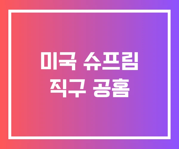 미국 슈프림 직구 공홈