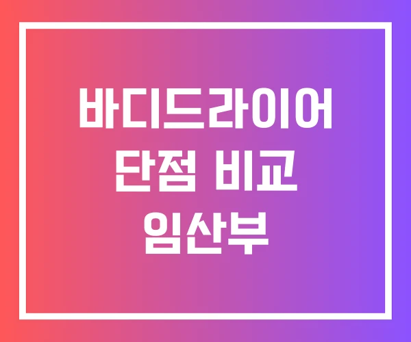 바디드라이어 단점 비교 임산부