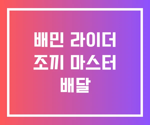 배민 라이더 조끼 마스터 배달