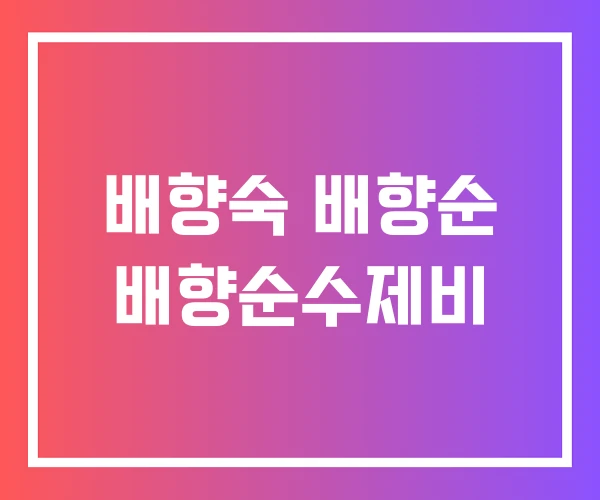 배향숙 배향순 배향순수제비