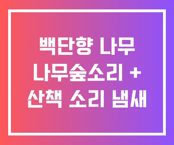 백단향 나무 나무숲소리 + 산책 소리 냄새