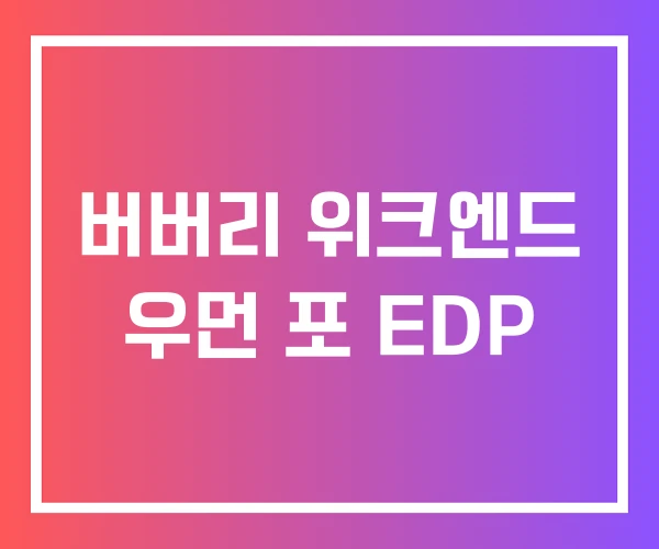 버버리 위크엔드 우먼 포 EDP