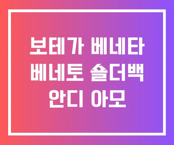 보테가 베네타 베네토 숄더백 안디 아모