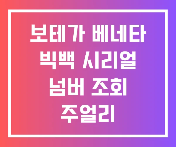 보테가 베네타 빅백 시리얼 넘버 조회 주얼리 보테가 베네타 빅백 시리얼 넘버 조회 주얼리