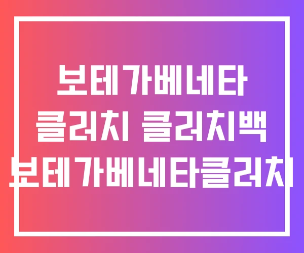 보테가베네타 클러치 클러치백 보테가베네타클러치