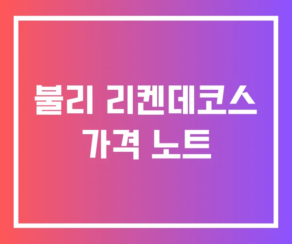 불리 리켄데코스 가격 노트