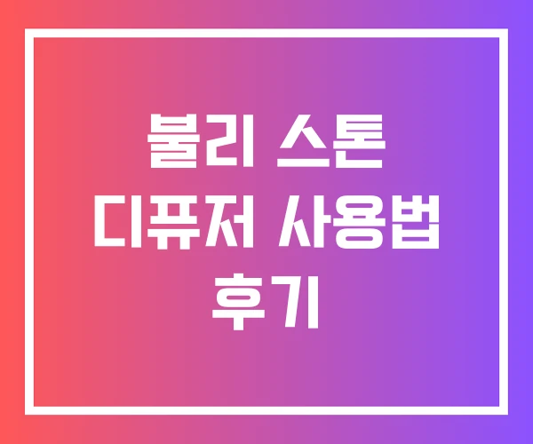 불리 스톤 디퓨저 사용법 후기 불리 스톤 디퓨저 사용법 후기