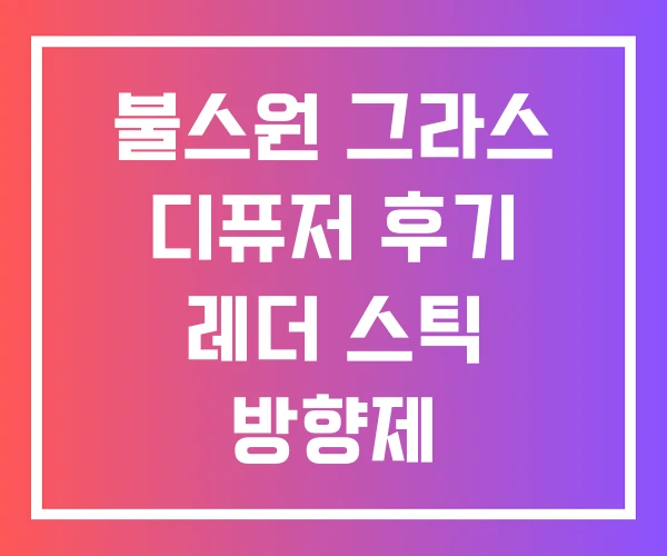 불스원 그라스 디퓨저 후기 레더 스틱 방향제