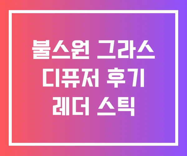 불스원 그라스 디퓨저 후기 레더 스틱