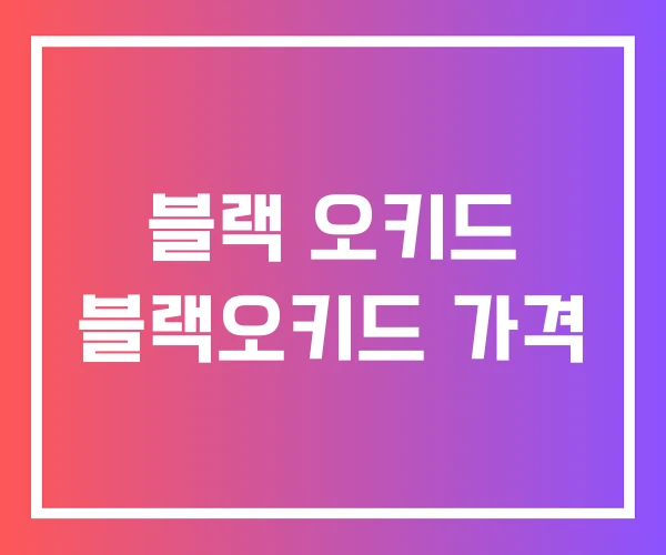 블랙 오키드 블랙오키드 가격 블랙 오키드 블랙오키드 가격