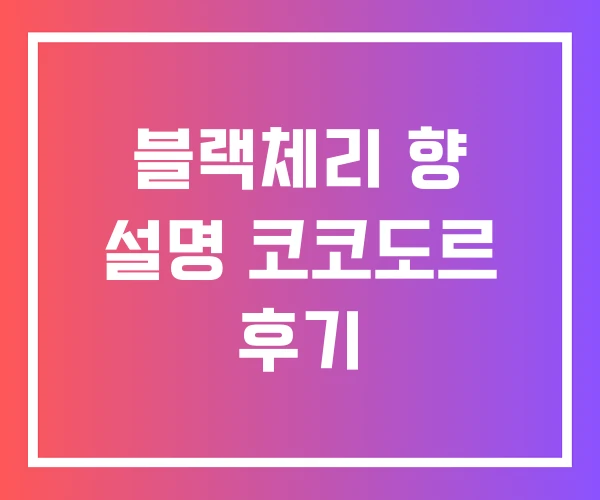 블랙체리 향 설명 코코도르 후기