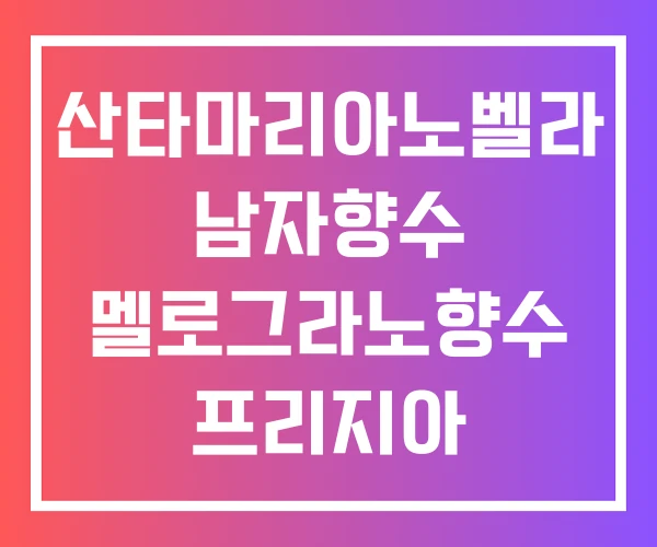 산타마리아노벨라 남자향수 멜로그라노향수 프리지아
