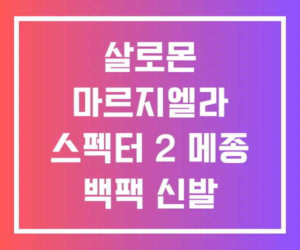 살로몬 마르지엘라 스펙터 2 메종 백팩 신발