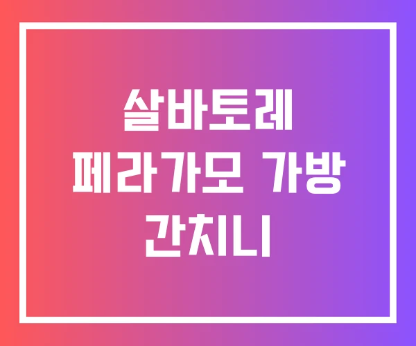 살바토레 페라가모 가방 간치니