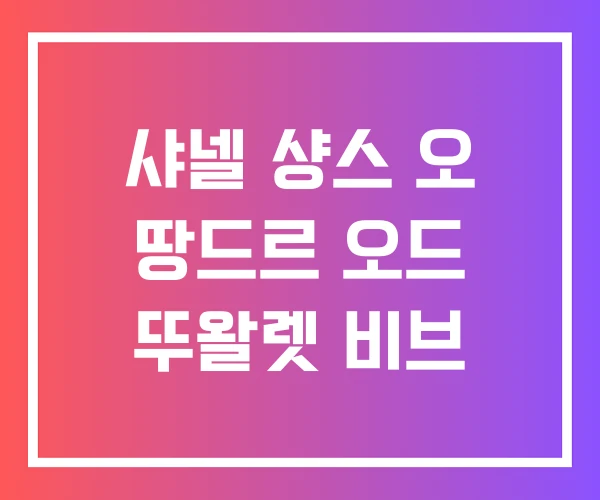 샤넬 샹스 오 땅드르 오드 뚜왈렛 비브