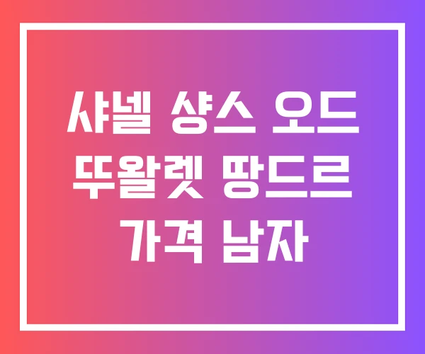 샤넬 샹스 오드 뚜왈렛 땅드르 가격 남자