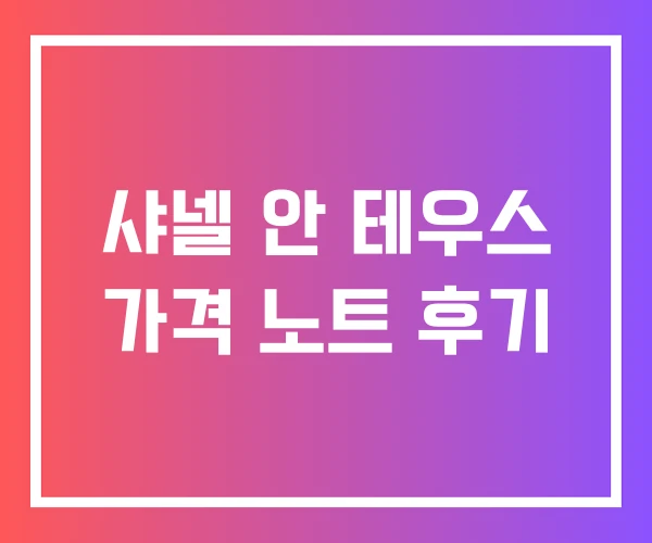 샤넬 안 테우스 가격 노트 후기