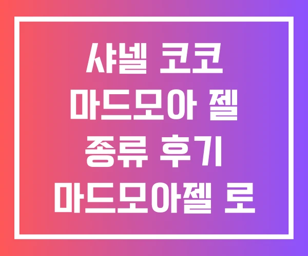 샤넬 코코 마드모아 젤 종류 후기 마드모아젤 로 프리베