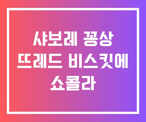 샤보레 꽁상 뜨레드 비스킷에 쇼콜라