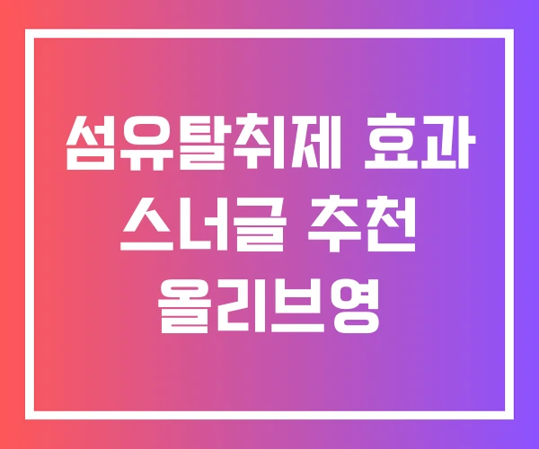 섬유탈취제 효과 스너글 추천 올리브영